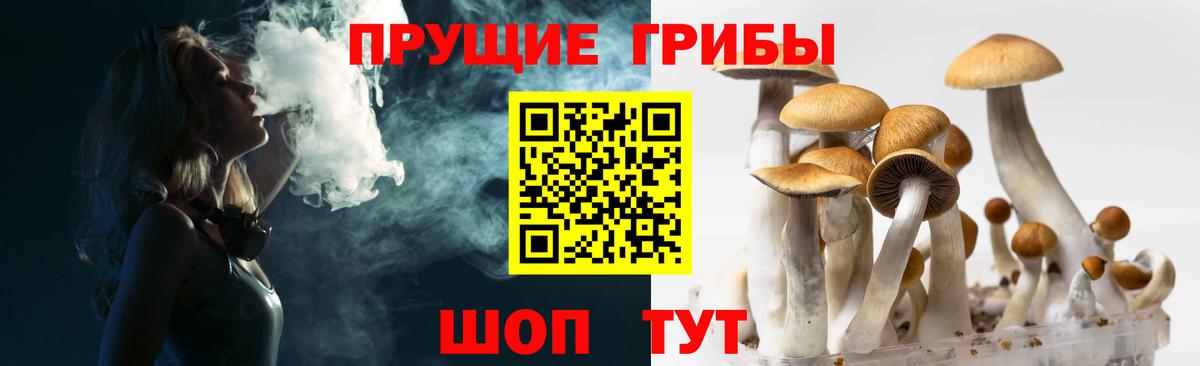 Псилоцибиновые грибы мицелий Чебаркуль